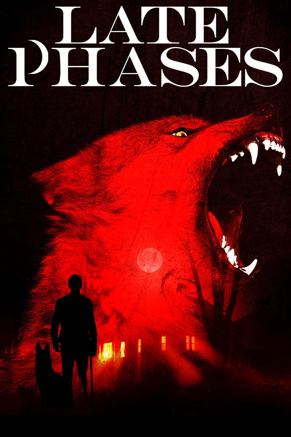 Постер Late Phases